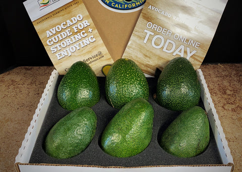 Spring Time! AVOCADO TYPES AND VARIETIES