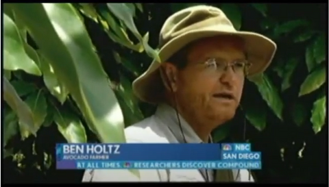 California Avocados Direct 10 years ago