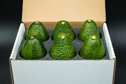 2-2-2 BACON FUERTE HASS Winter Sampler - 3 Varieties of California Avocados