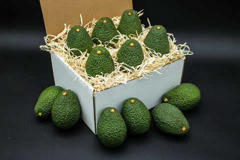 12 Carmen Hass Avocados - Farmers Dozen