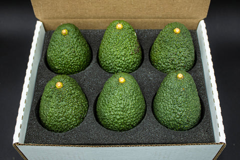 6 Carmen Hass Avocados