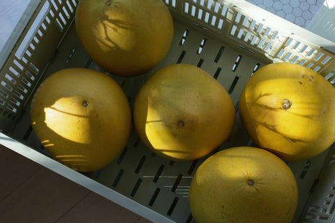 Medium Box of California White Grapefruit (5 - 7 in a box, size varies)