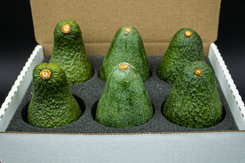 2-2-2 PINKERTON FUERTE HASS Spring Sampler - 3 Varieties of California Avocados