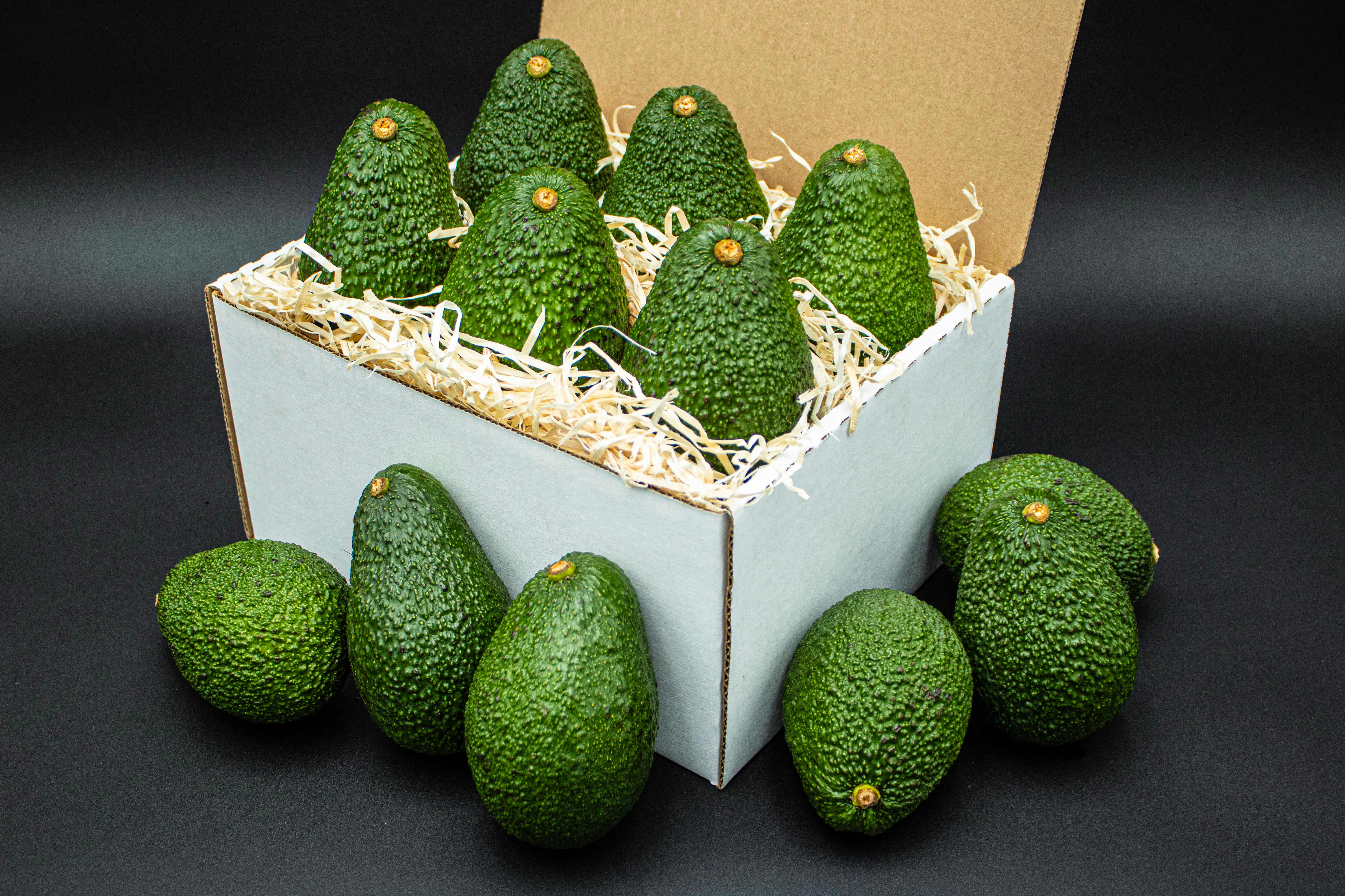 12 Large Hass Avocados Farmers Dozen – California Avocados Direct
