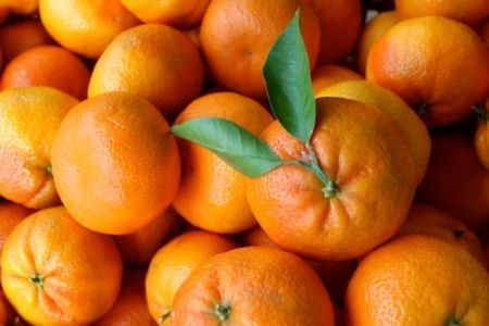 Lunar New Year Prosperity Box - 12 Valencia Oranges and 6 Red Knot Tassels