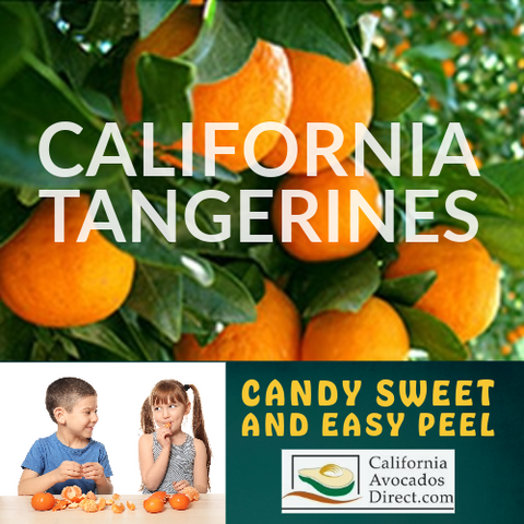 Citrus Subscription  - Medium Box (approximately 10-20 fruits, size varies depending on season)