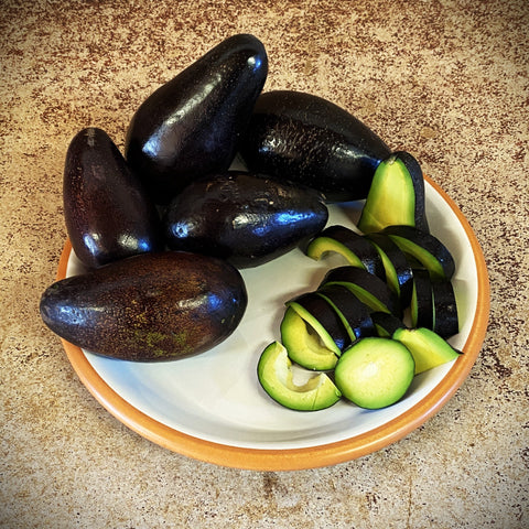 Mexicola and Reed - Two Varieties of Avocados