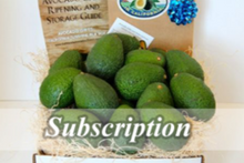 Load image into Gallery viewer, Monthly Subscription - 24 Large Avocados - Monthly Deuce
