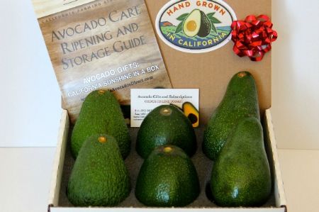 2-2-2 ETTINGER FUERTE BACON Thin Skin Sampler - 3 Varieties of California Winter Avocados