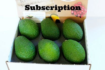 Monthly Subscription - 6 Large Avocados - A Monthly Classic