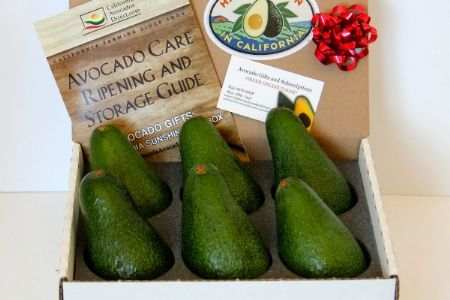 ripe fuerte avocados in rustic packaging on a wooden surface, soft golden light