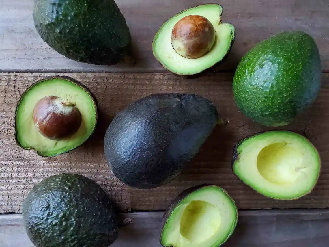 Avocados and Gut Health California Avocados Direct