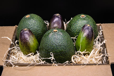 Mexicola and Reed Avocados - Unleash the Creamy Flavor of California