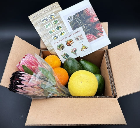 PROTEA FARM COMBO, 2 Stems and 4 Avocados, 4 Valencia Oranges, 1 White Grapefruit