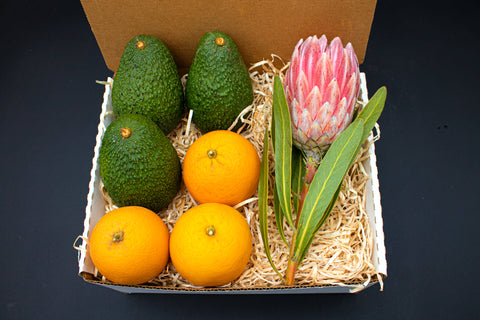 PROTEA AVOCADO VALENCIA, 1 Stem and 3 Avocados, 3 Valencia Oranges