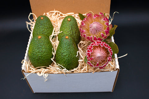 PROTEA AVOCADO - 2 Protea Stems and 4 Avocados