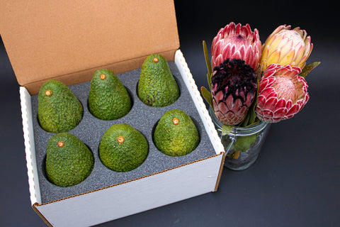 Protea Flowers, 4 Stems and 6 Avocados