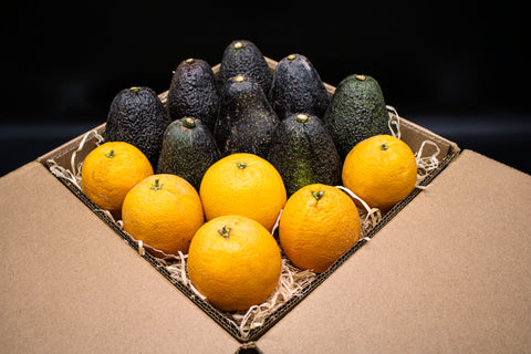 8 Avocados and 6 Candy Sweet Oranges - Culinary Combo