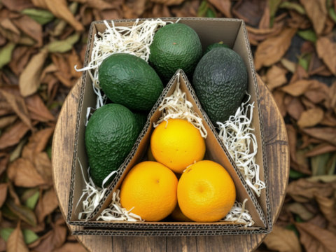 8 Avocados and 6 Candy Sweet Oranges - Culinary Combo