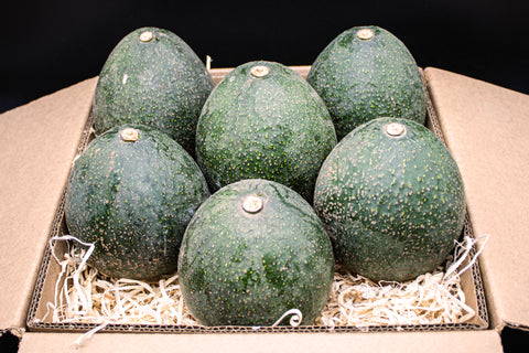 9 Nabal Avocados - A Rare Variety not found in stores