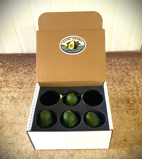 CA Avocado/"Hand Grown' Coffee Mug - 4 Avocados and Coffee Mugs