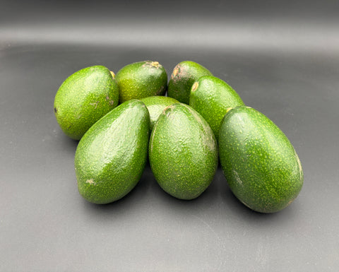 8 Large Bacon Avocados