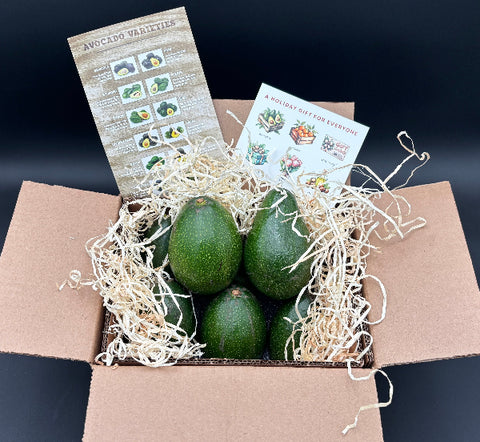 Box of avocados with a leaflet on a dark background