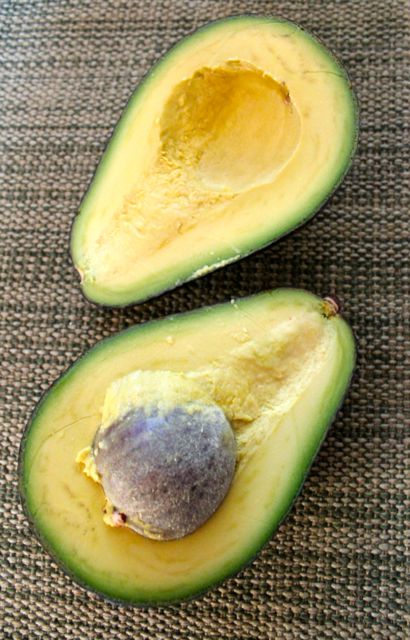 12 Jumbo Gem Avocados - Fresh From the Farm