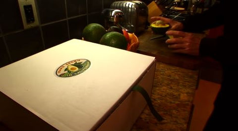 6 Lamb Hass Avocados