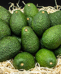 Fresh California avocados nestled in shredded paper, ripe and ready for gifting or subscription.