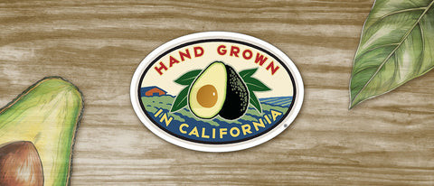Hand Grown in California avocado sticker with farm scene, fresh avocado half, and leaf on wood