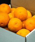 Fresh oranges in a box, perfect for citrus gift boxes or online fruit delivery