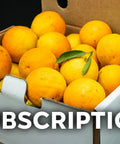 Fresh citrus oranges in a box with green leaf, perfect for subscription delivery