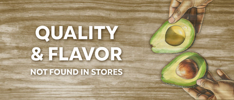 Fresh avocado halves held in hands, showcasing quality and flavor not found in stores