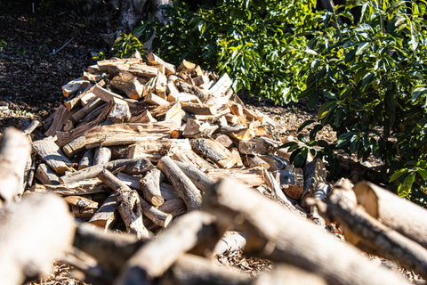 Avocado Firewood