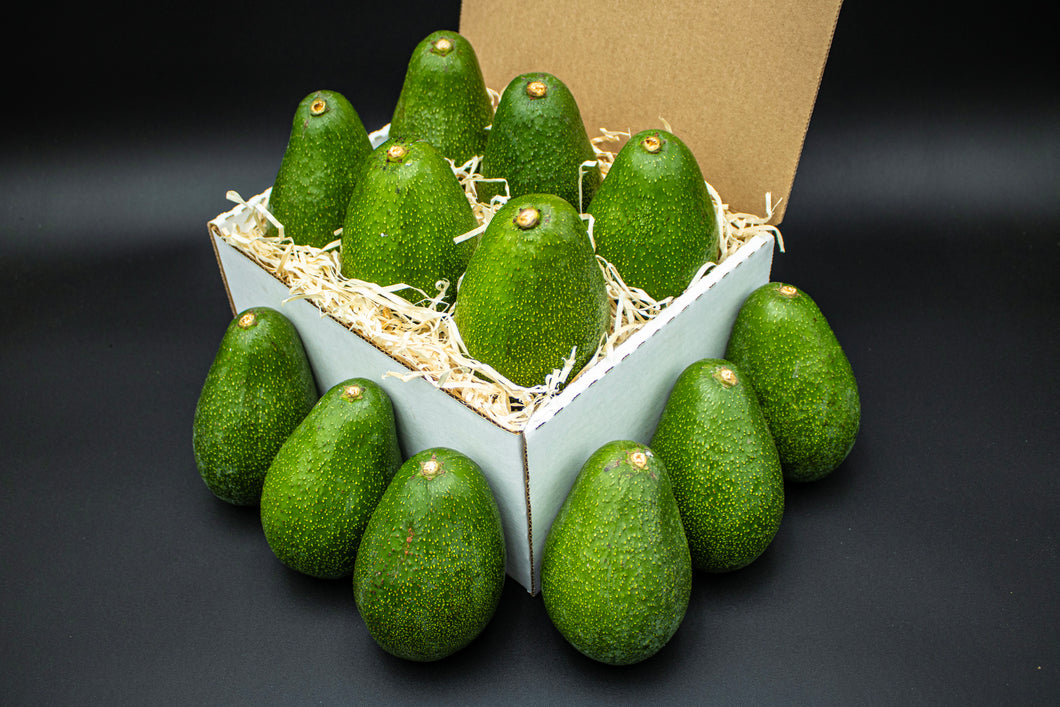 12 Large Fuerte Avocados - Farmers Dozen