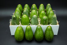 Load image into Gallery viewer, 24 Large Fuerte Avocados - Fresh From the Farm
