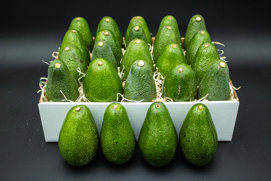 24 Large Fuerte Avocados - Fresh From the Farm