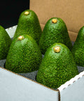 Fresh California avocados in a box, ripe and ready for delivery