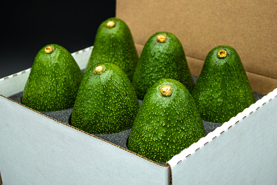 6 Large Fuerte Avocados - A California Classic