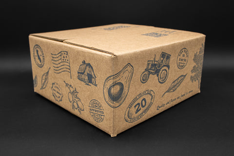 Protea Flowers, 12 Assorted Protea Stems