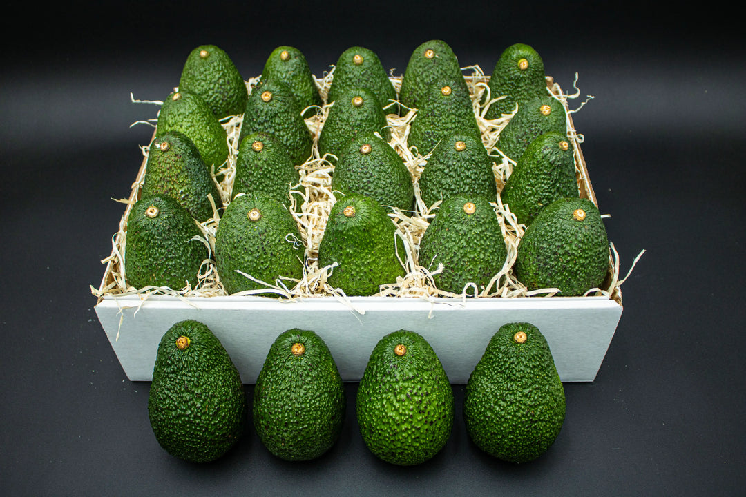 Avocado In Box Avocado Gift Boxes – California Avocados Direct
