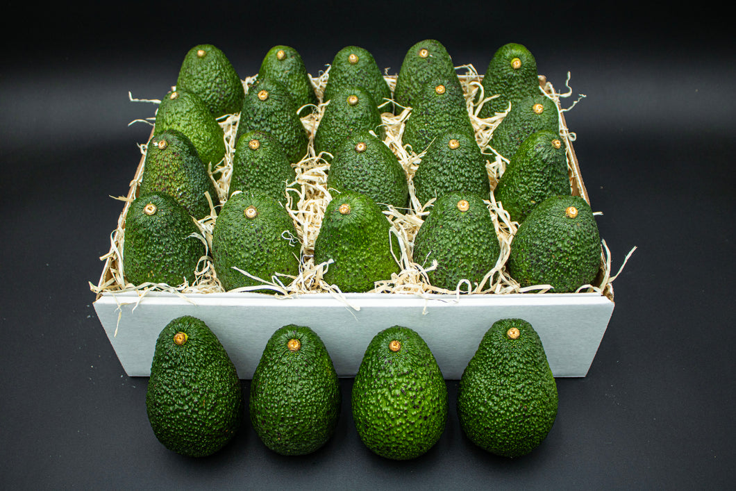 24 Large Hass Avocados - Fresh from the farm