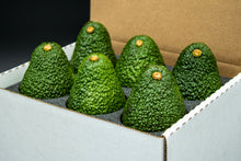 Load image into Gallery viewer, 6 Large Hass Avocados
