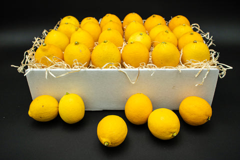 LEMONS (approximately 35 lemons, size varies) - Large Box of California Lemons