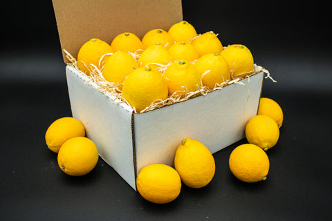 LEMONS (approximately 20 lemons, size varies) - Medium Box California Lemons