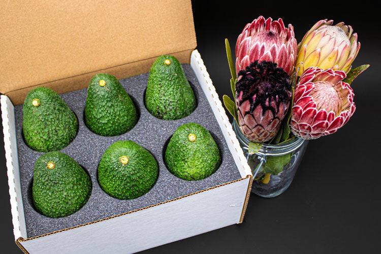 12 Large Hass Avocados - Farmers Dozen – California Avocados Direct