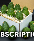Fresh California avocados in a subscription box with shredded paper lining