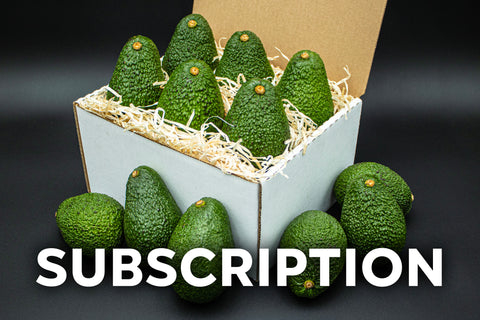 Monthly Subscription - 12 Large Avocados - Monthly Dozen