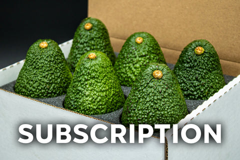 Monthly Subscription - 6 Large Avocados - A Monthly Classic